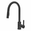 Pearl® Kitchen Faucets DAMIEN Matte Black Kitchen Faucet