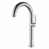 Pearl® Kitchen Faucets LEON Chrome Bar & Kitchen Faucet